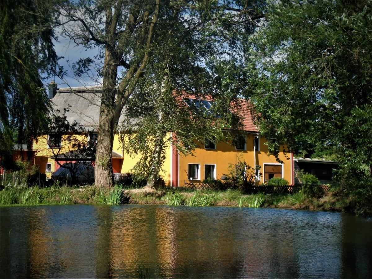 Ferienhof Im Gruenen Herzen Dittersdorf エクステリア 写真