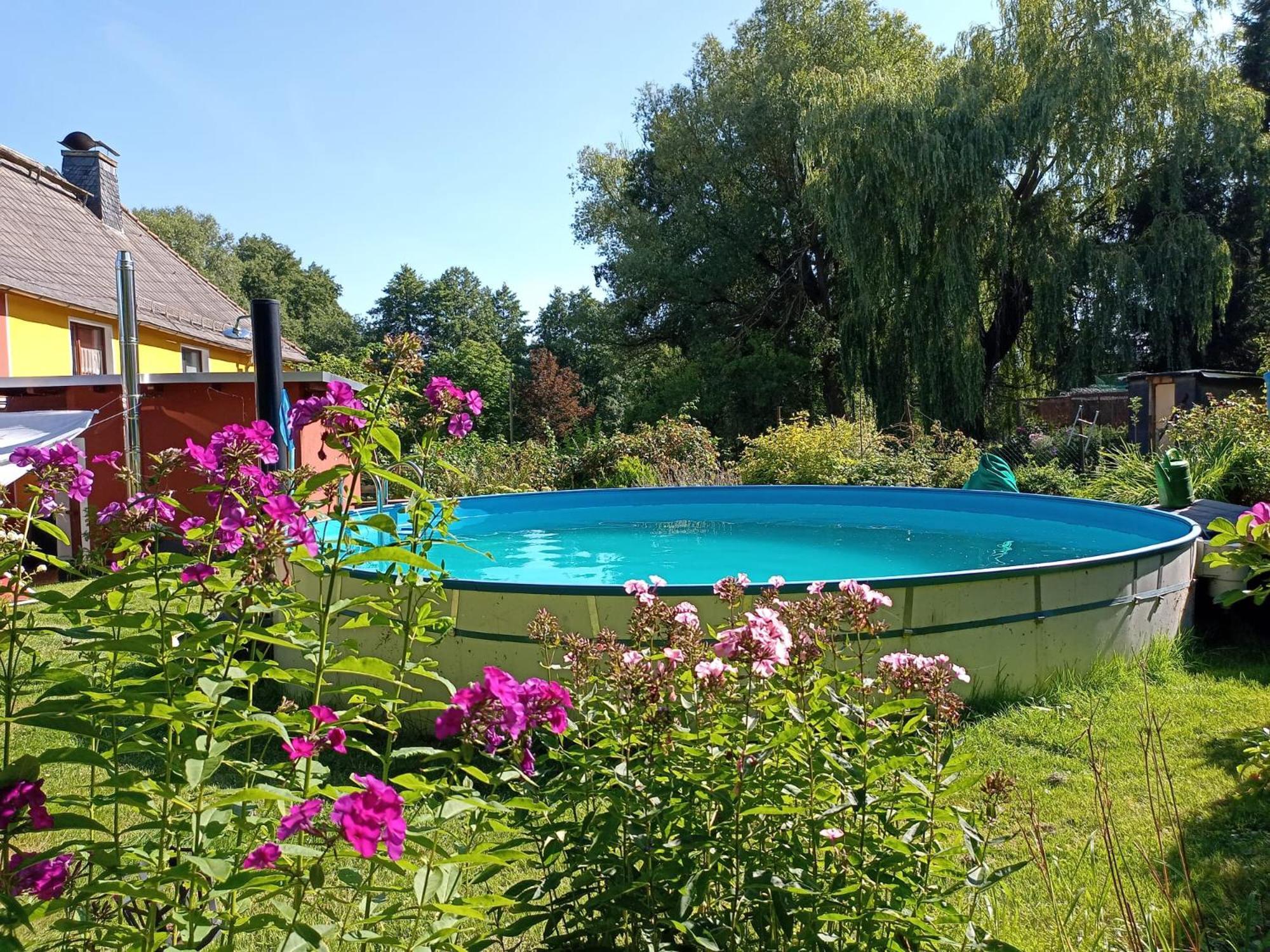 Ferienhof Im Gruenen Herzen Dittersdorf エクステリア 写真