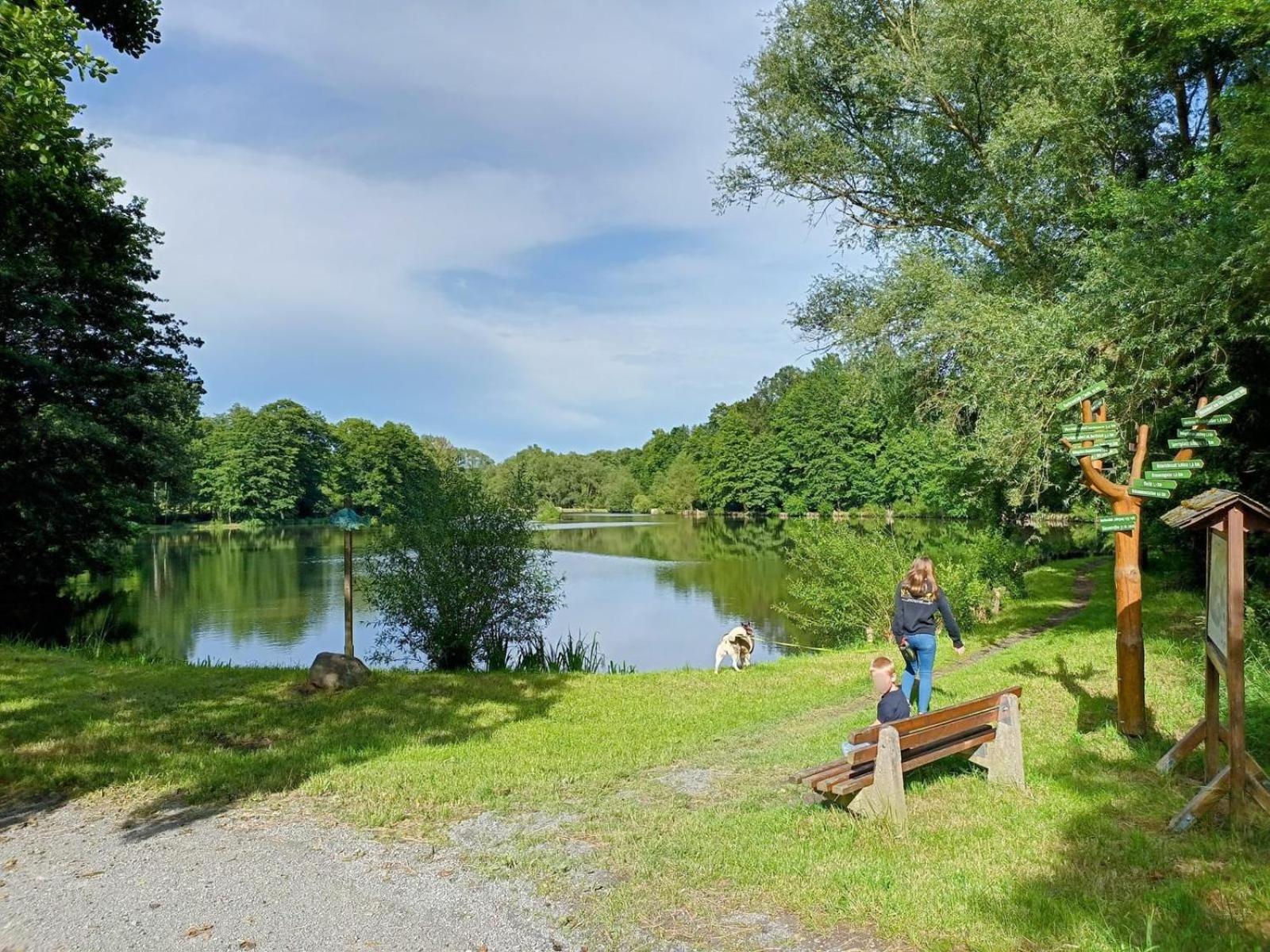 Ferienhof Im Gruenen Herzen Dittersdorf エクステリア 写真